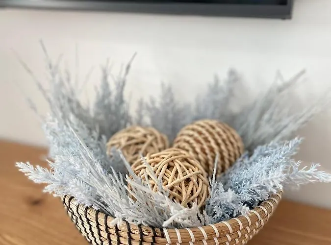 Pisito Rico קלפה